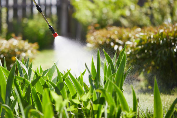24/7 Emergency Ant Control experts in North Haledon, NJ